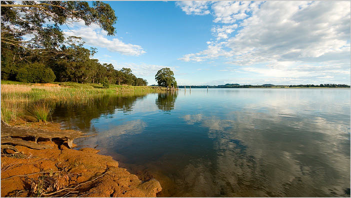 Onga range of pressure tanks